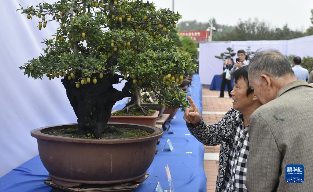 斗牛游戏大厅